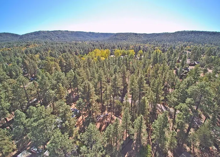 Simply Amazing 4* Pine